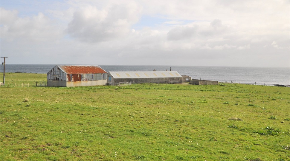 Land and Steading at Ramsay & Greenwall, extending to 56 acres or thereby, Westray, KW17 2DD