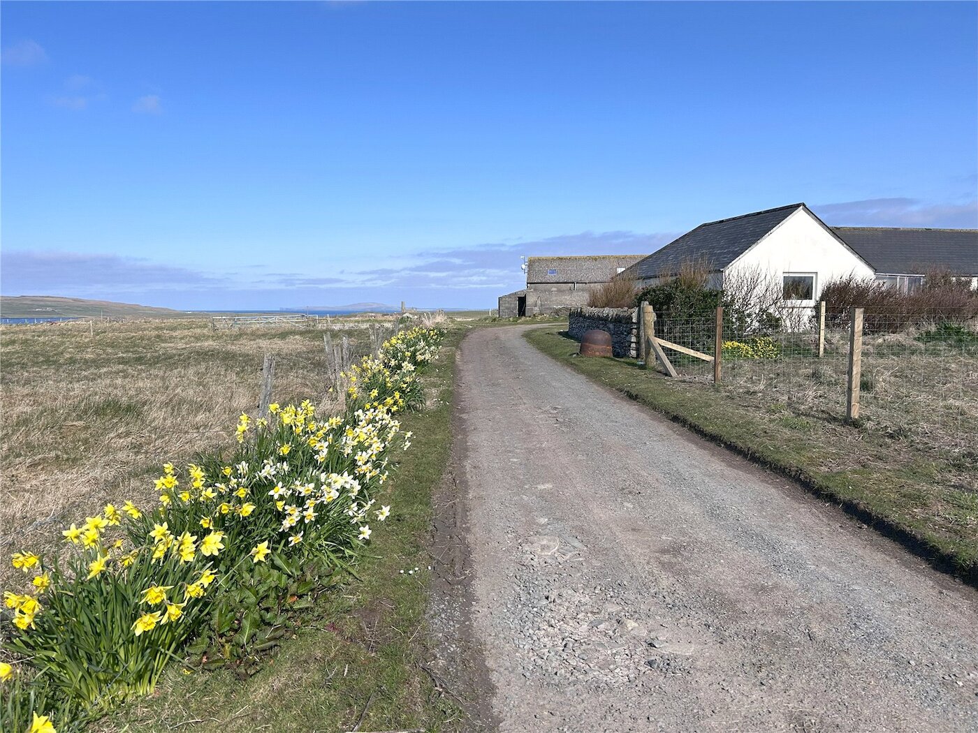 Driveway