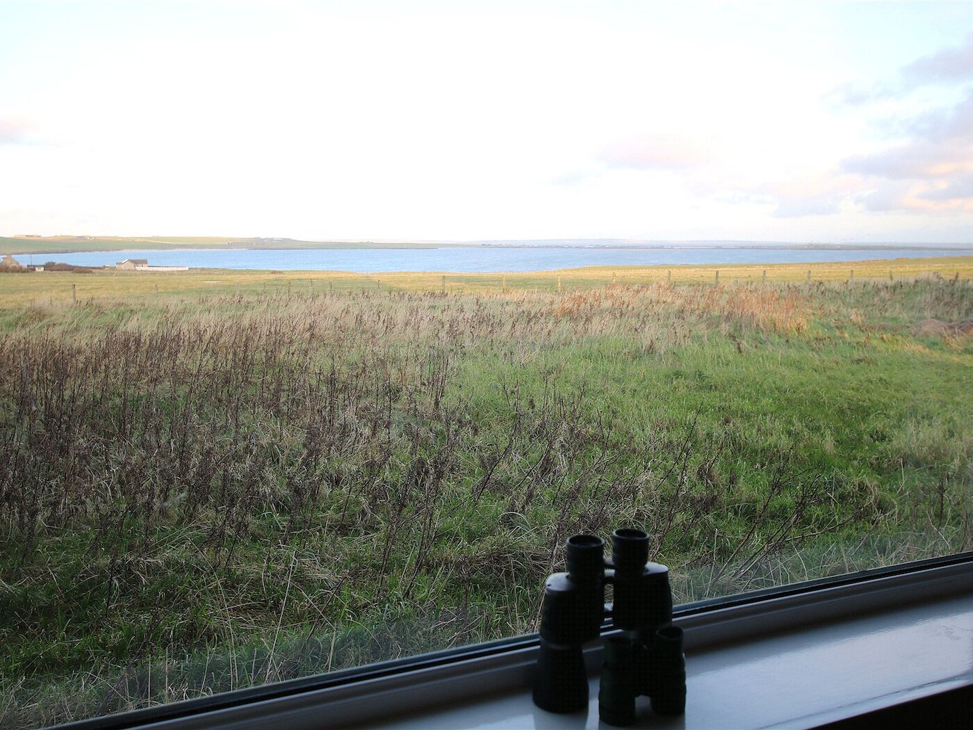 Living Room View