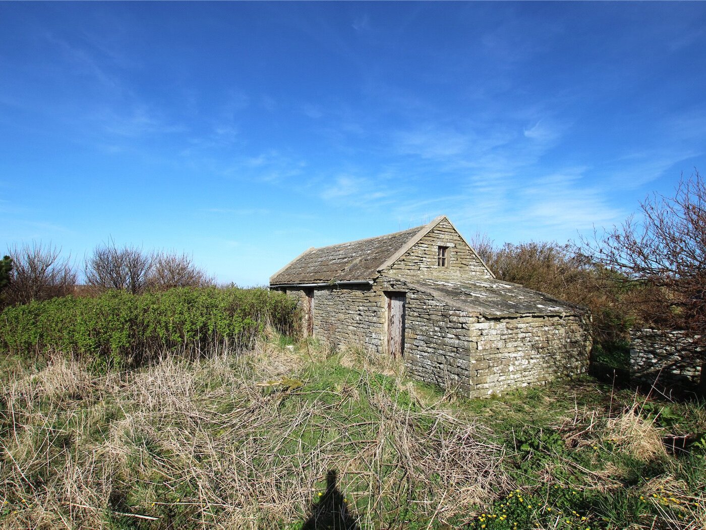 Cottage