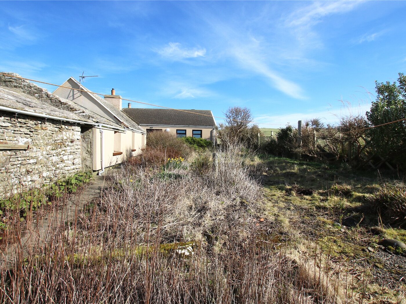 Front Garden