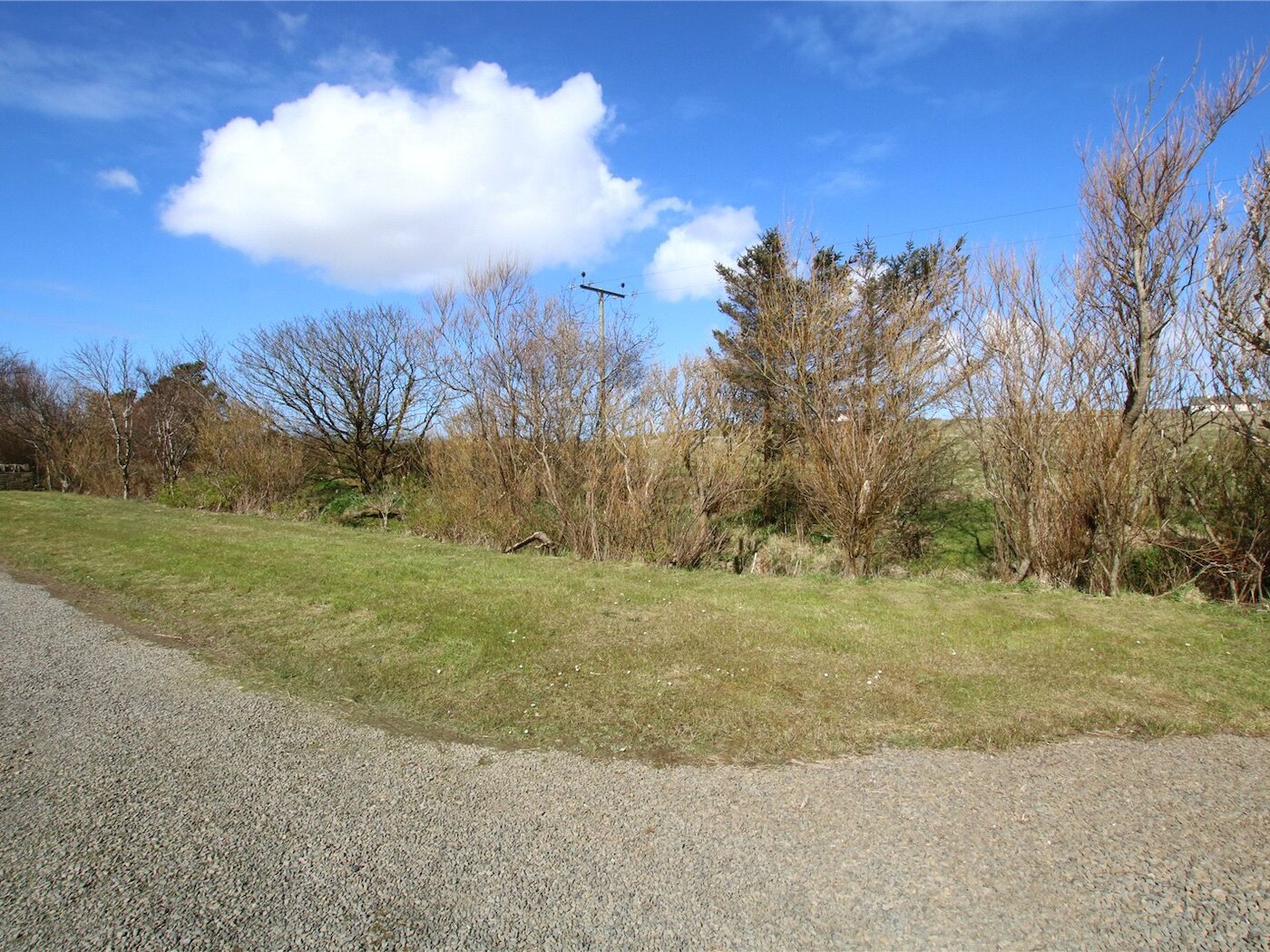 Wooded Area