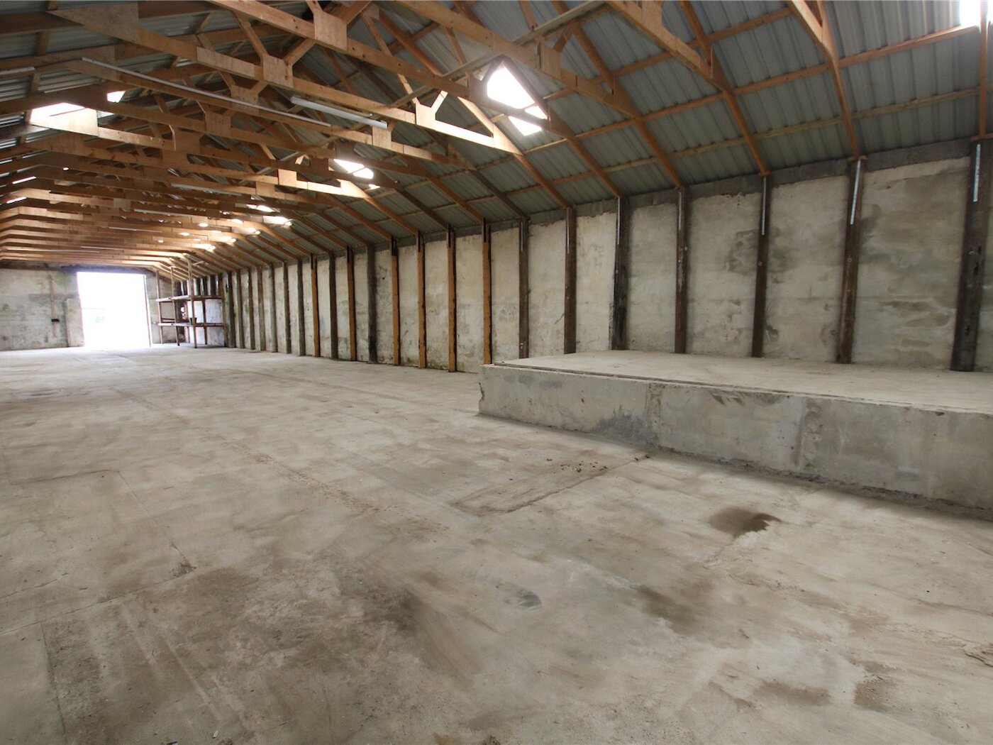 Shed 4