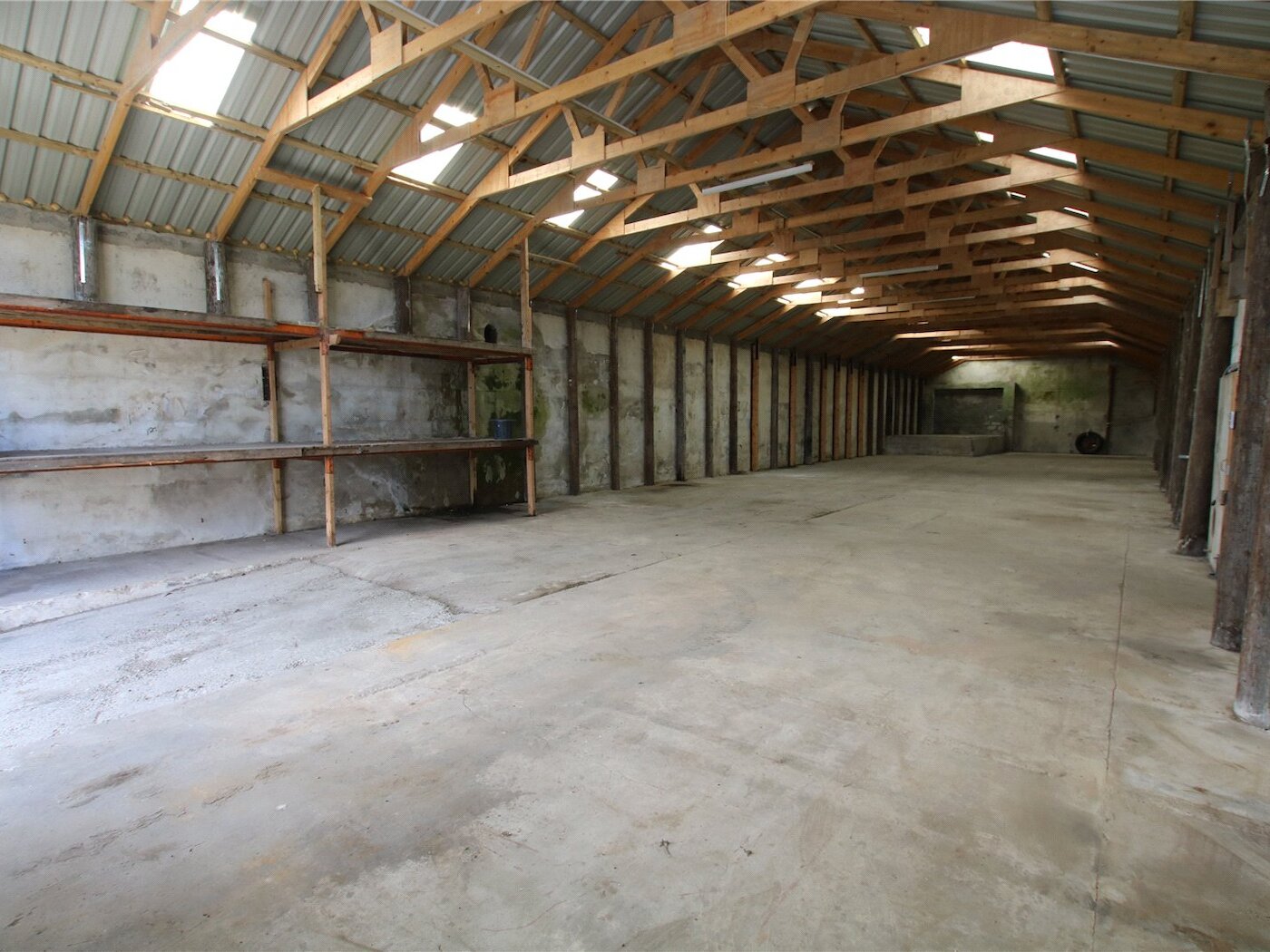 Shed 4