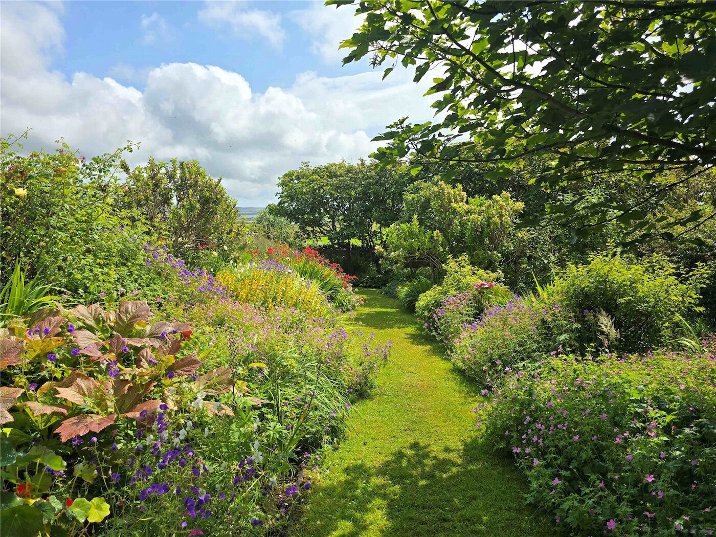Garden