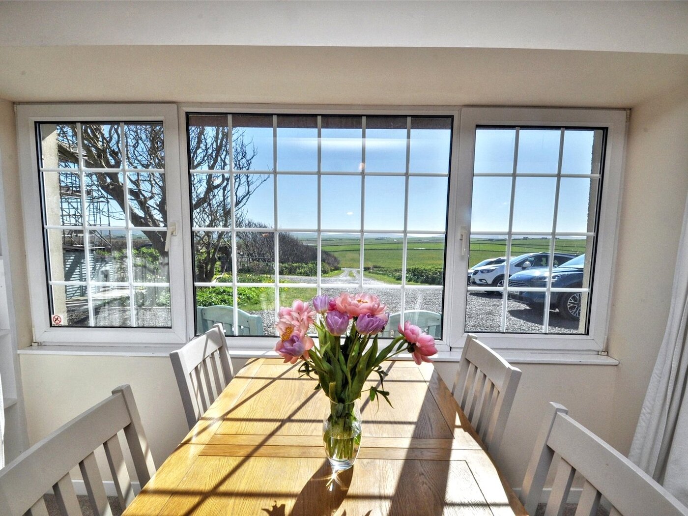 Paddock Cott View
