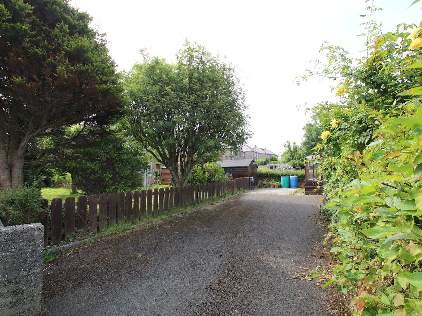 Driveway