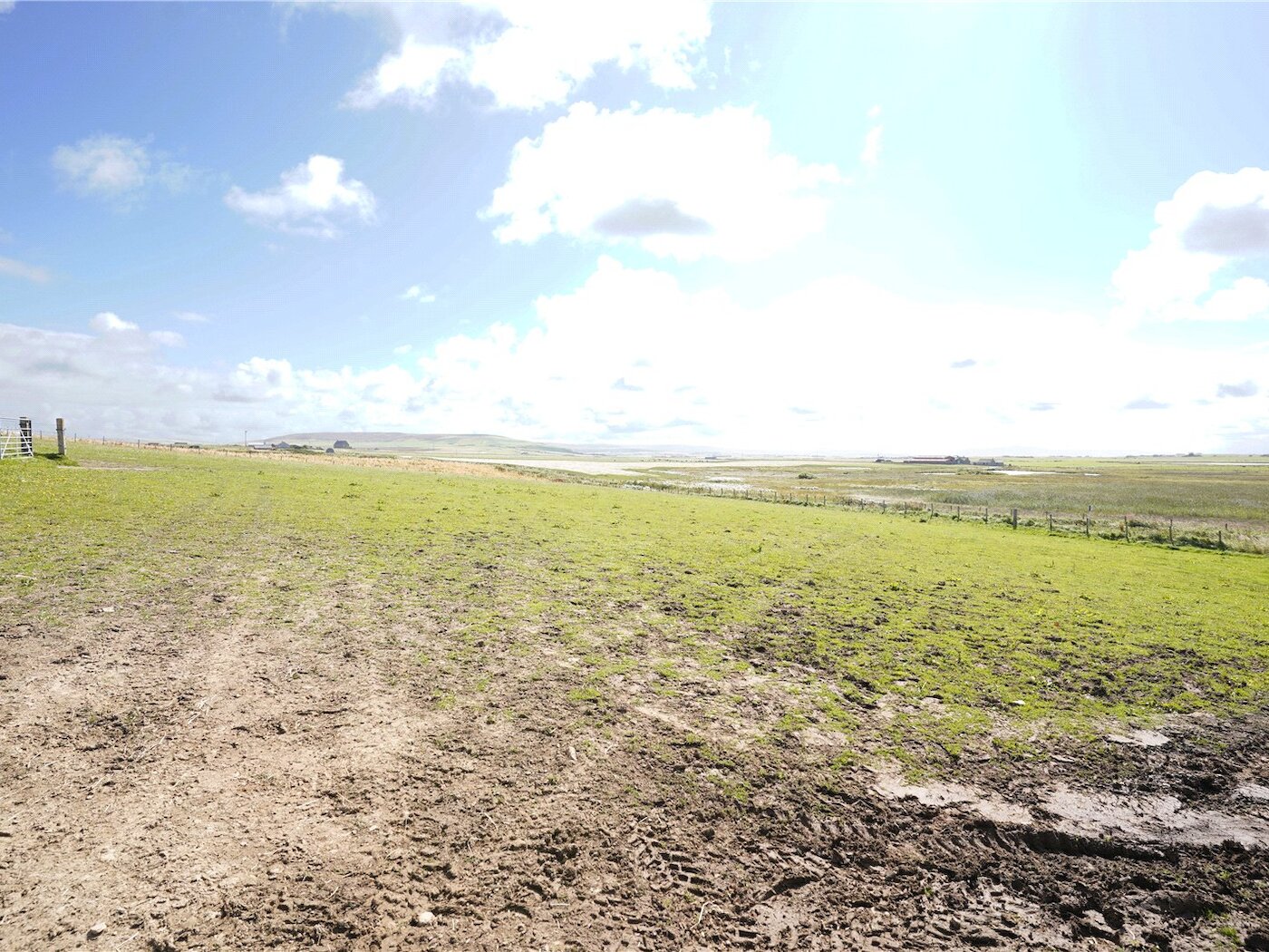 Field