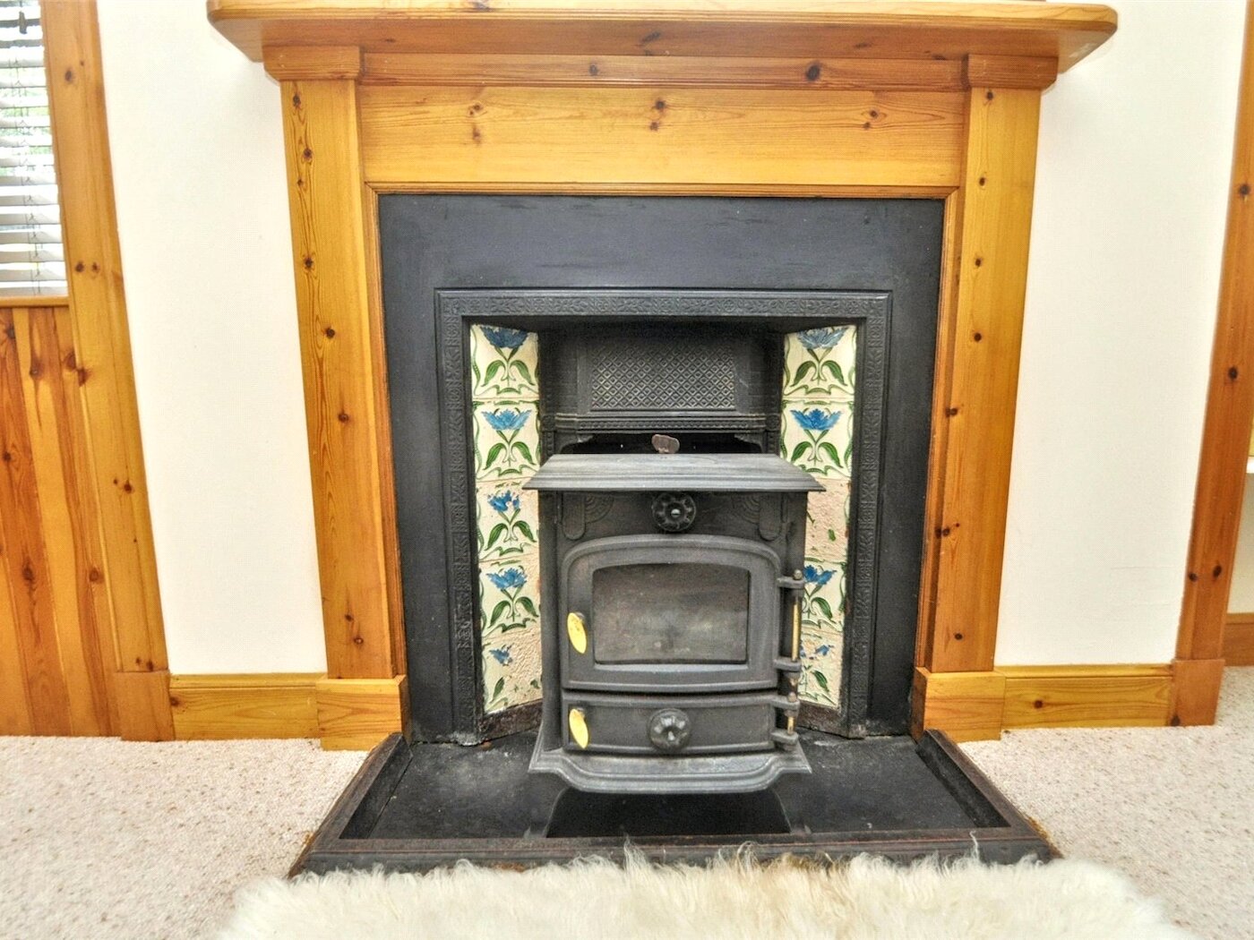 Multi-Fuel Stove