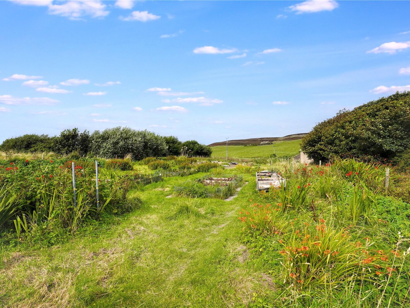 Planting Area